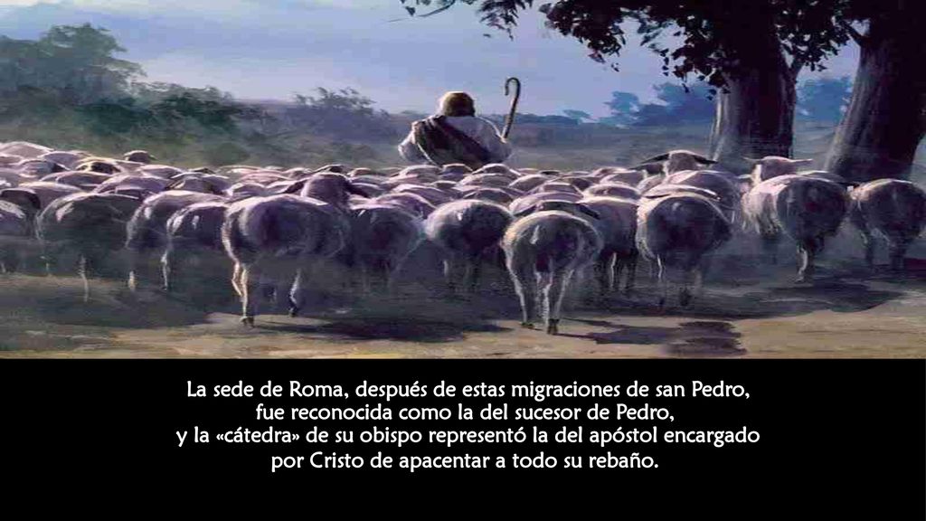 La sede de Roma, después de estas migraciones de san Pedro, fue reconocida como la del sucesor de Pedro, y la «cátedra» de su obispo representó la del apóstol encargado por Cristo de apacentar a todo su rebaño.
