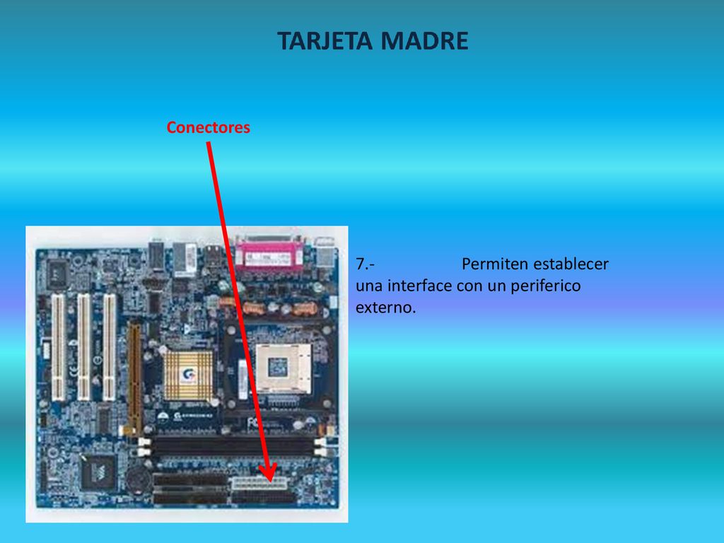 Conectores 7.- Permiten establecer una interface con un periferico externo.