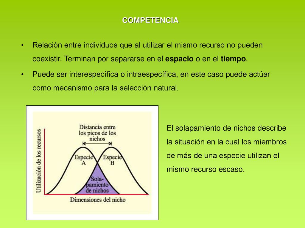 COMPETENCIA Relación entre individuos que al utilizar el mismo recurso no pueden coexistir. Terminan por separarse en el espacio o en el tiempo.