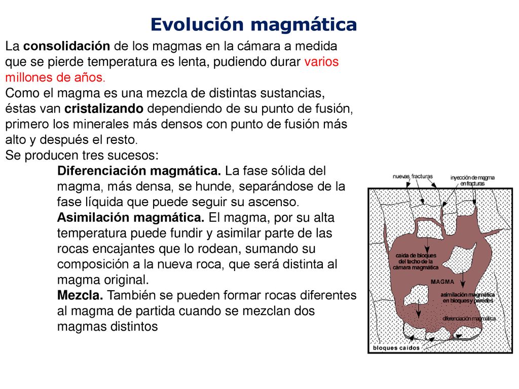 La consolidación de los magmas en la cámara a medida que se pierde temperatura es lenta, pudiendo durar varios millones de años.