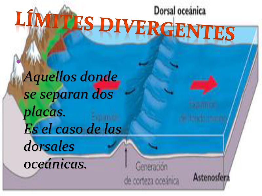 Límites divergentes Aquellos donde se separan dos placas. Es el caso de las dorsales oceánicas.