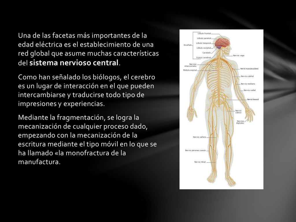 Una de las facetas más importantes de la edad eléctrica es el establecimiento de una red global que asume muchas características del sistema nervioso central.