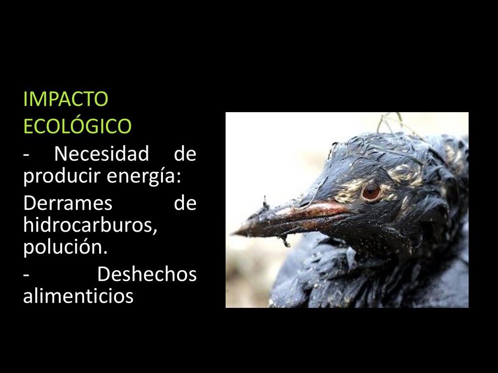 IMPACTO ECOLÓGICO - Necesidad de producir energía: Derrames de hidrocarburos, polución.