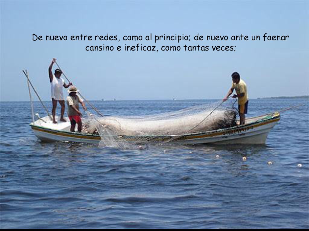 De nuevo entre redes, como al principio; de nuevo ante un faenar cansino e ineficaz, como tantas veces;
