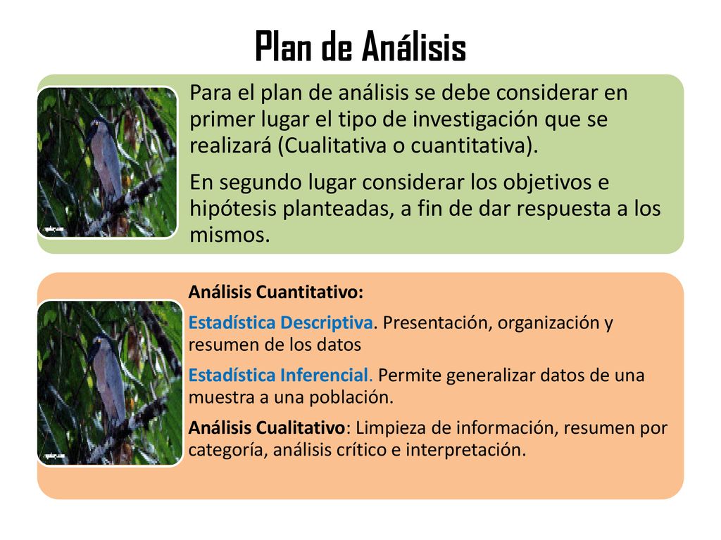 Plan de Análisis Para el plan de análisis se debe considerar en primer lugar el tipo de investigación que se realizará (Cualitativa o cuantitativa).