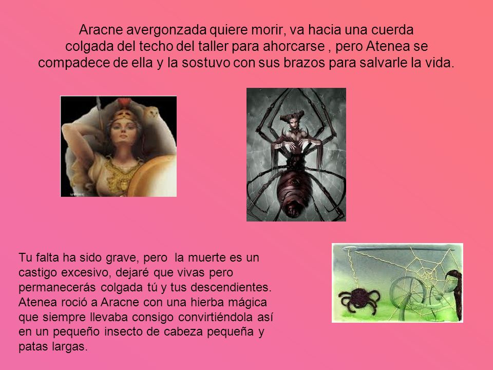 Aracne avergonzada quiere morir, va hacia una cuerda colgada del techo del taller para ahorcarse , pero Atenea se compadece de ella y la sostuvo con sus brazos para salvarle la vida.
