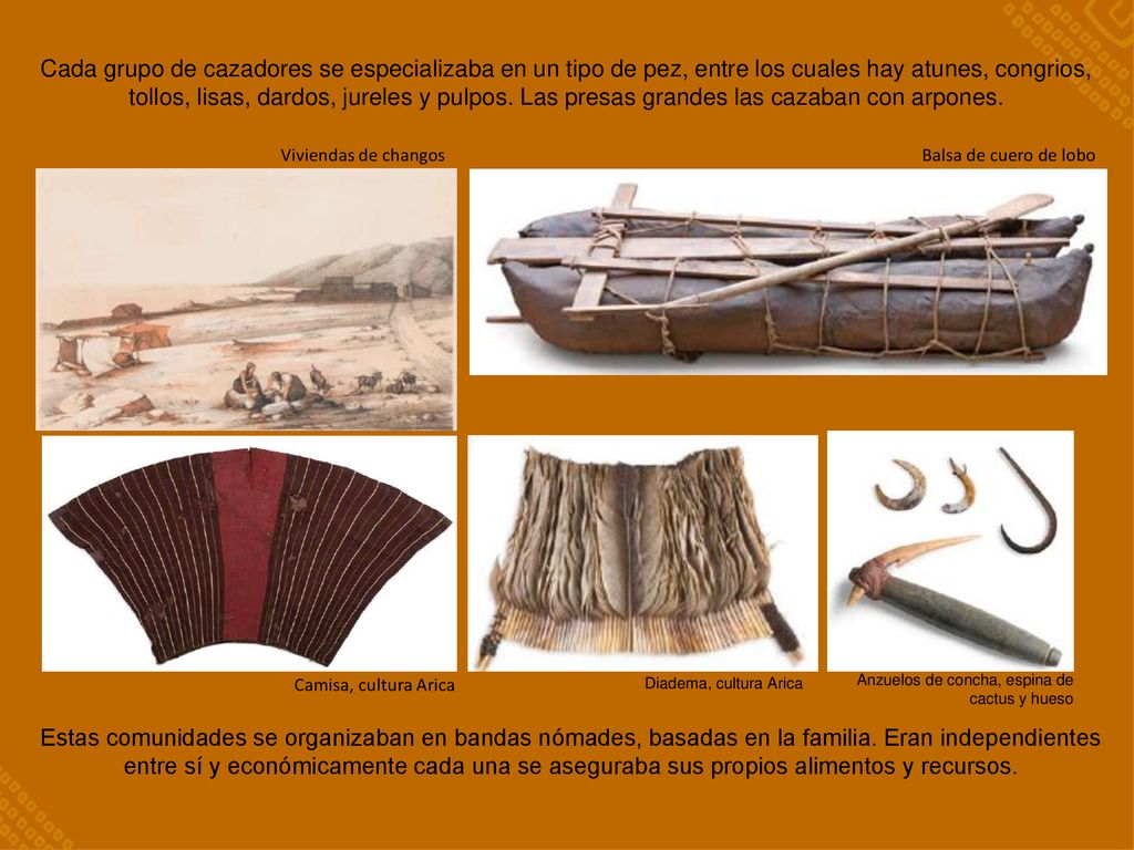 Cada grupo de cazadores se especializaba en un tipo de pez, entre los cuales hay atunes, congrios, tollos, lisas, dardos, jureles y pulpos. Las presas grandes las cazaban con arpones.