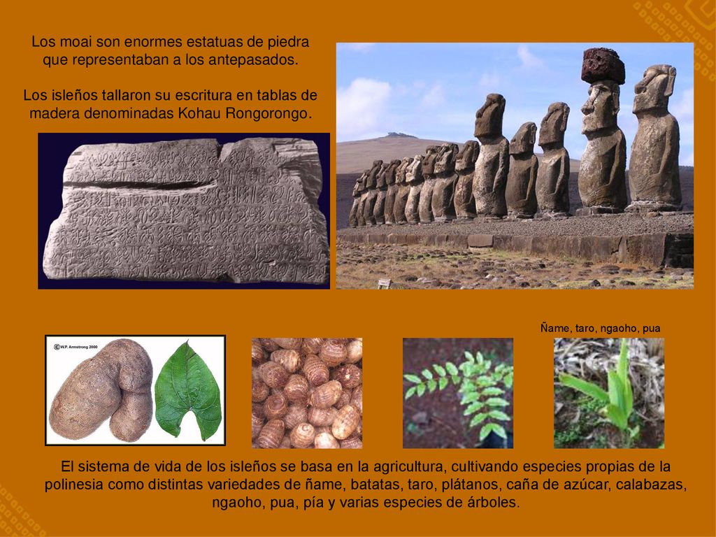Los moai son enormes estatuas de piedra que representaban a los antepasados.