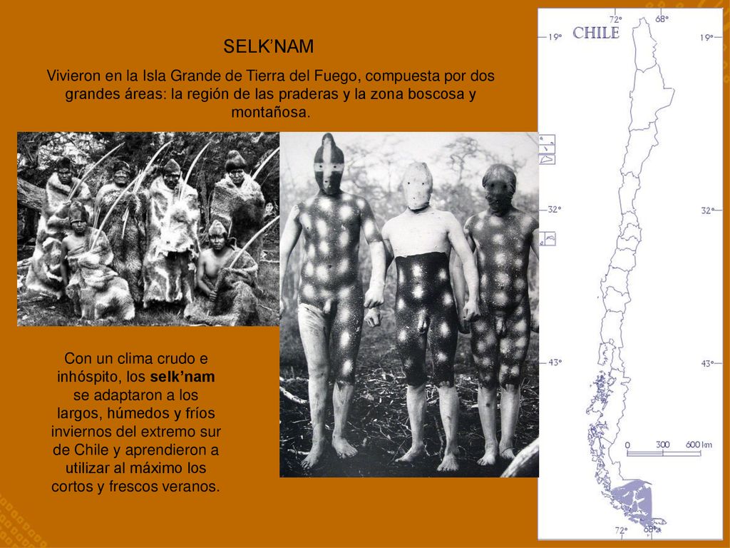 SELK’NAM Vivieron en la Isla Grande de Tierra del Fuego, compuesta por dos grandes áreas: la región de las praderas y la zona boscosa y montañosa.