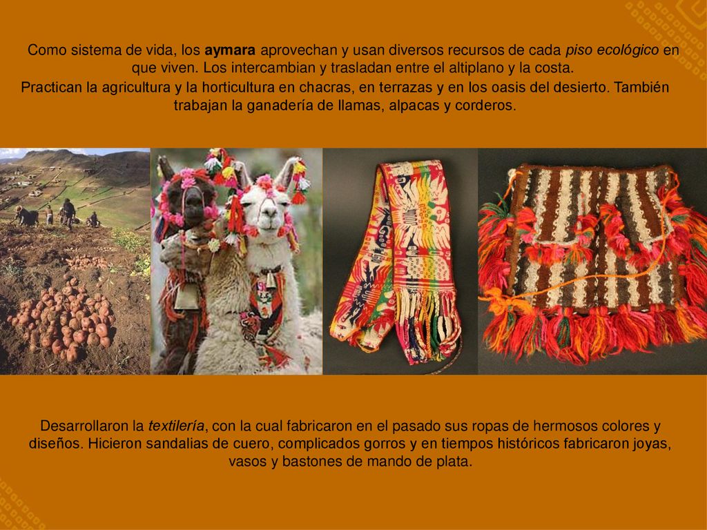 Como sistema de vida, los aymara aprovechan y usan diversos recursos de cada piso ecológico en que viven. Los intercambian y trasladan entre el altiplano y la costa.