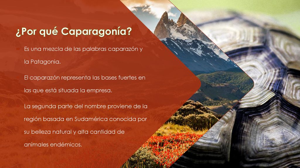 ¿Por qué Caparagonía Es una mezcla de las palabras caparazón y la Patagonia.