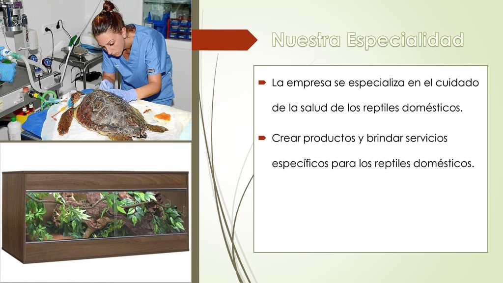 Nuestra Especialidad La empresa se especializa en el cuidado de la salud de los reptiles domésticos.
