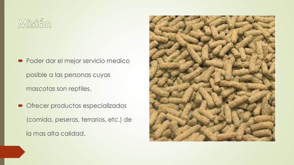 Misión Poder dar el mejor servicio medico posible a las personas cuyas mascotas son reptiles.