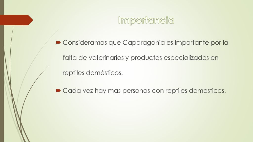 Importancia Consideramos que Caparagonía es importante por la falta de veterinarios y productos especializados en reptiles domésticos.
