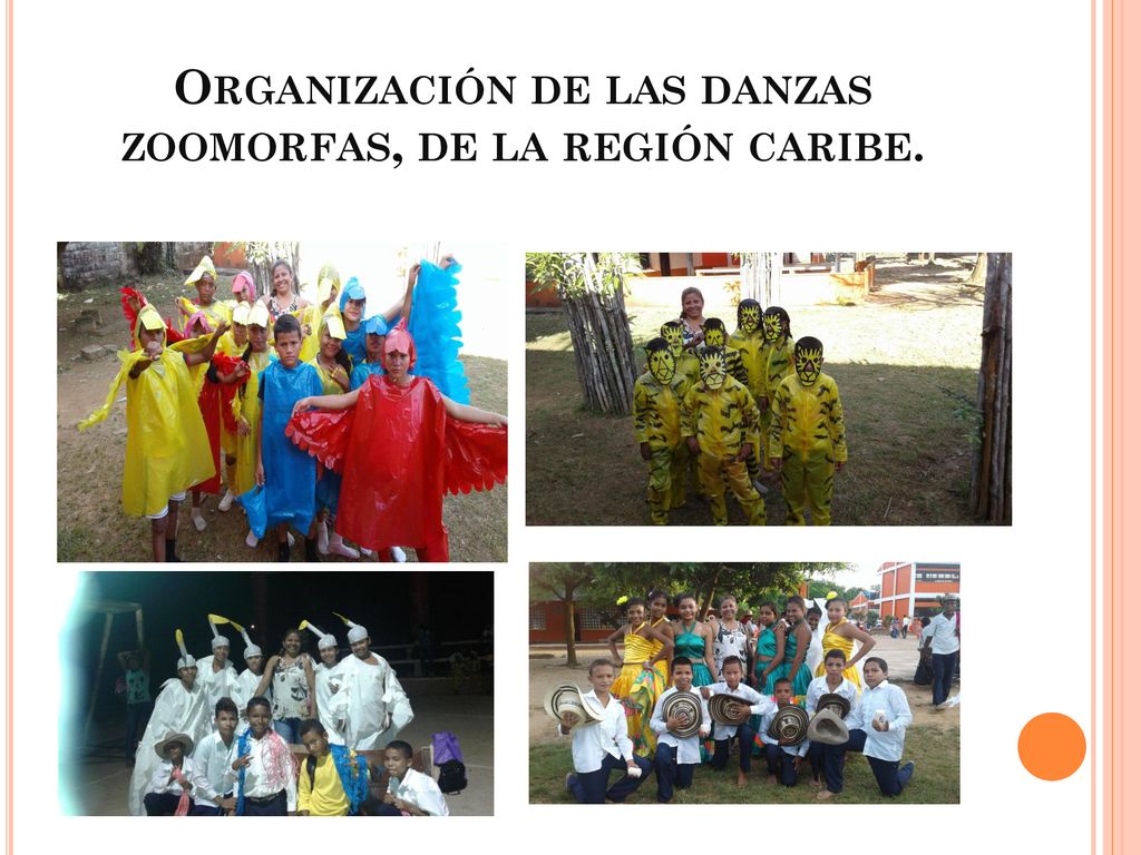 Organización de las danzas zoomorfas, de la región caribe.