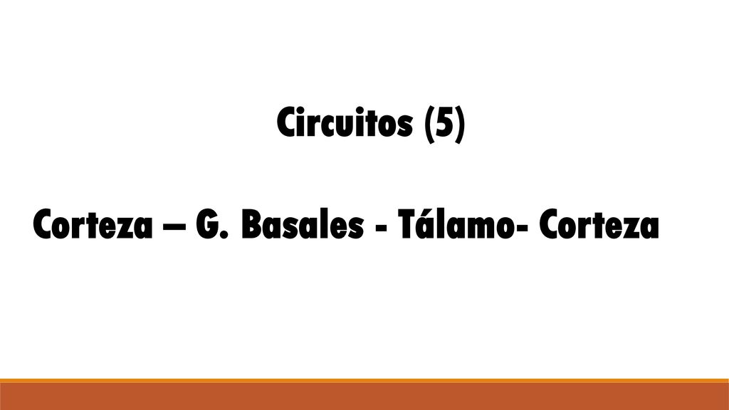 Circuitos (5) Corteza – G. Basales - Tálamo- Corteza