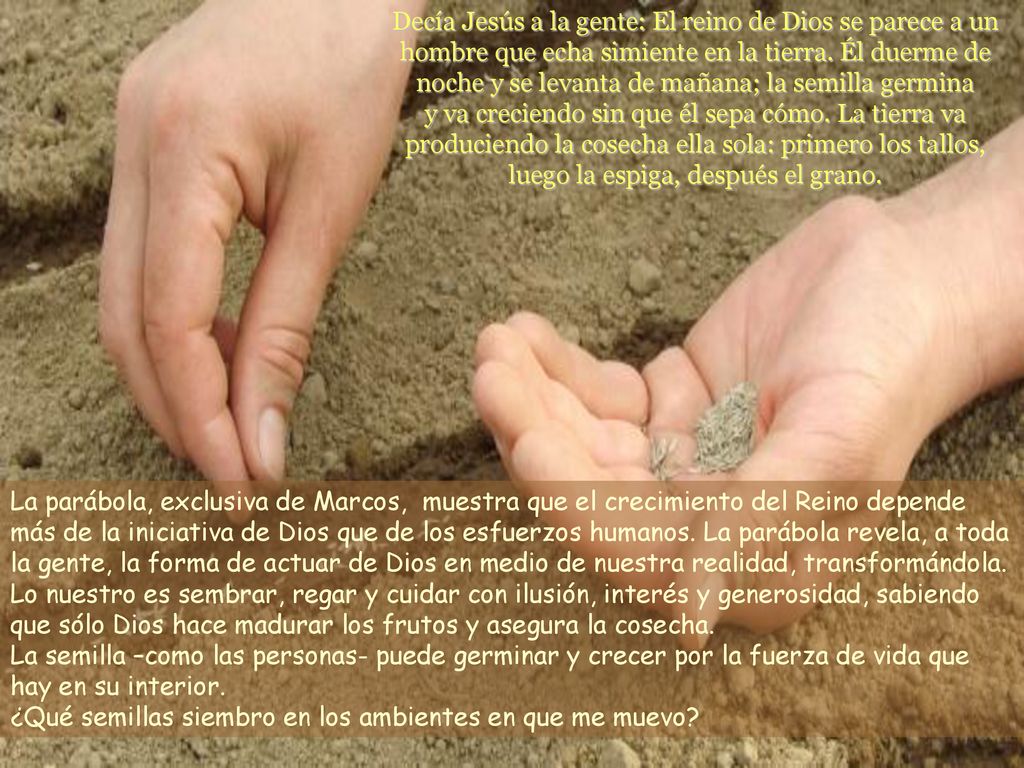 Decía Jesús a la gente: El reino de Dios se parece a un hombre que echa simiente en la tierra. Él duerme de noche y se levanta de mañana; la semilla germina y va creciendo sin que él sepa cómo. La tierra va produciendo la cosecha ella sola: primero los tallos, luego la espiga, después el grano.
