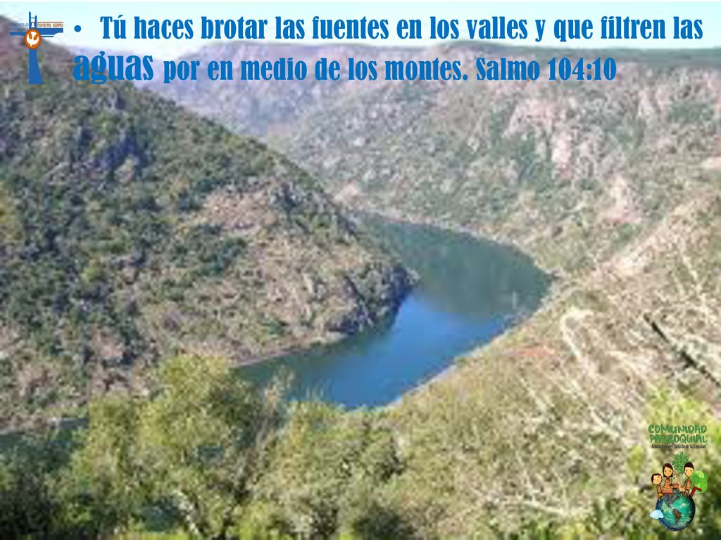 Tú haces brotar las fuentes en los valles y que filtren las aguas por en medio de los montes.