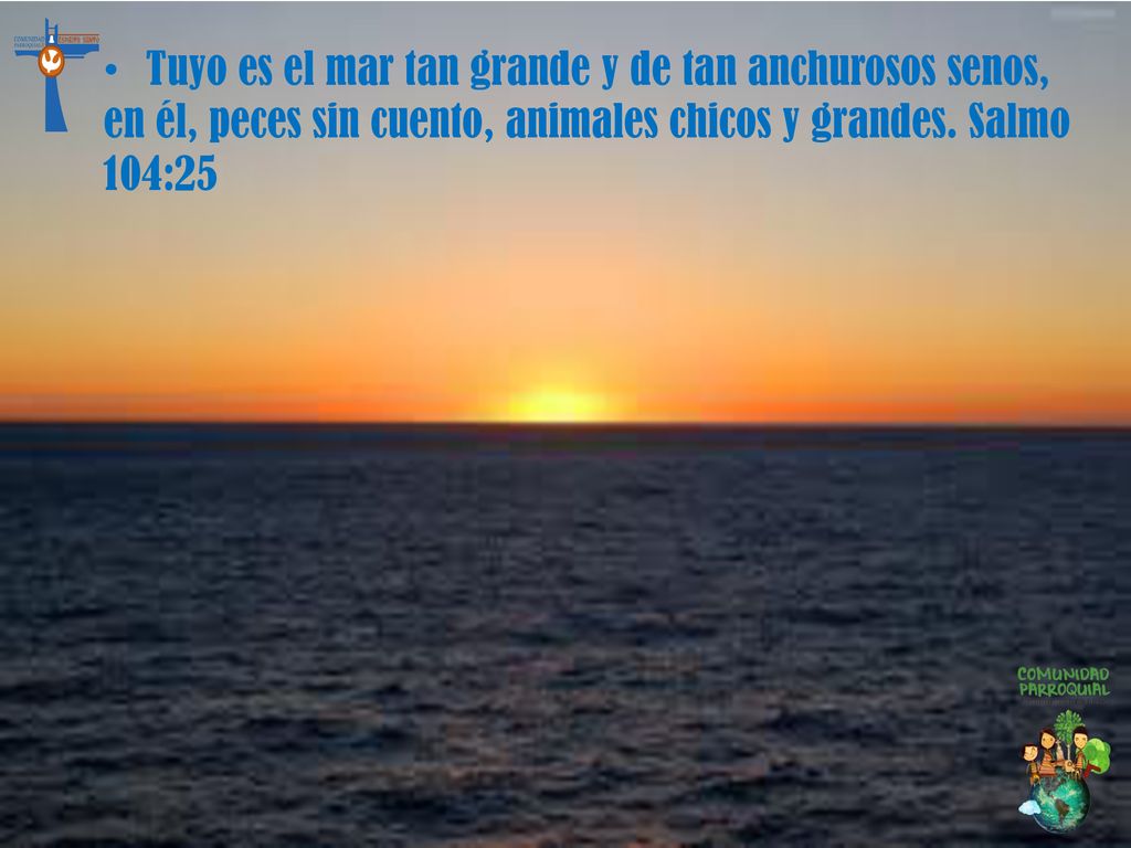Tuyo es el mar tan grande y de tan anchurosos senos, en él, peces sin cuento, animales chicos y grandes.