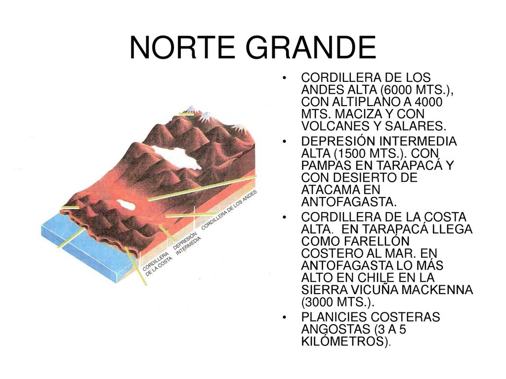 NORTE GRANDE CORDILLERA DE LOS ANDES ALTA (6000 MTS.), CON ALTIPLANO A 4000 MTS. MACIZA Y CON VOLCANES Y SALARES.