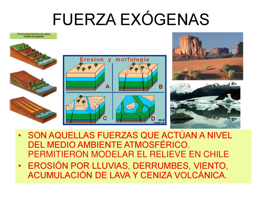 FUERZA EXÓGENAS SON AQUELLAS FUERZAS QUE ACTÚAN A NIVEL DEL MEDIO AMBIENTE ATMOSFÉRICO. PERMITIERON MODELAR EL RELIEVE EN CHILE.