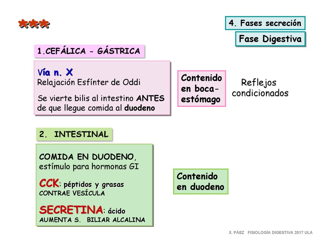*** CCK: péptidos y grasas SECRETINA: ácido Fase Digestiva Contenido