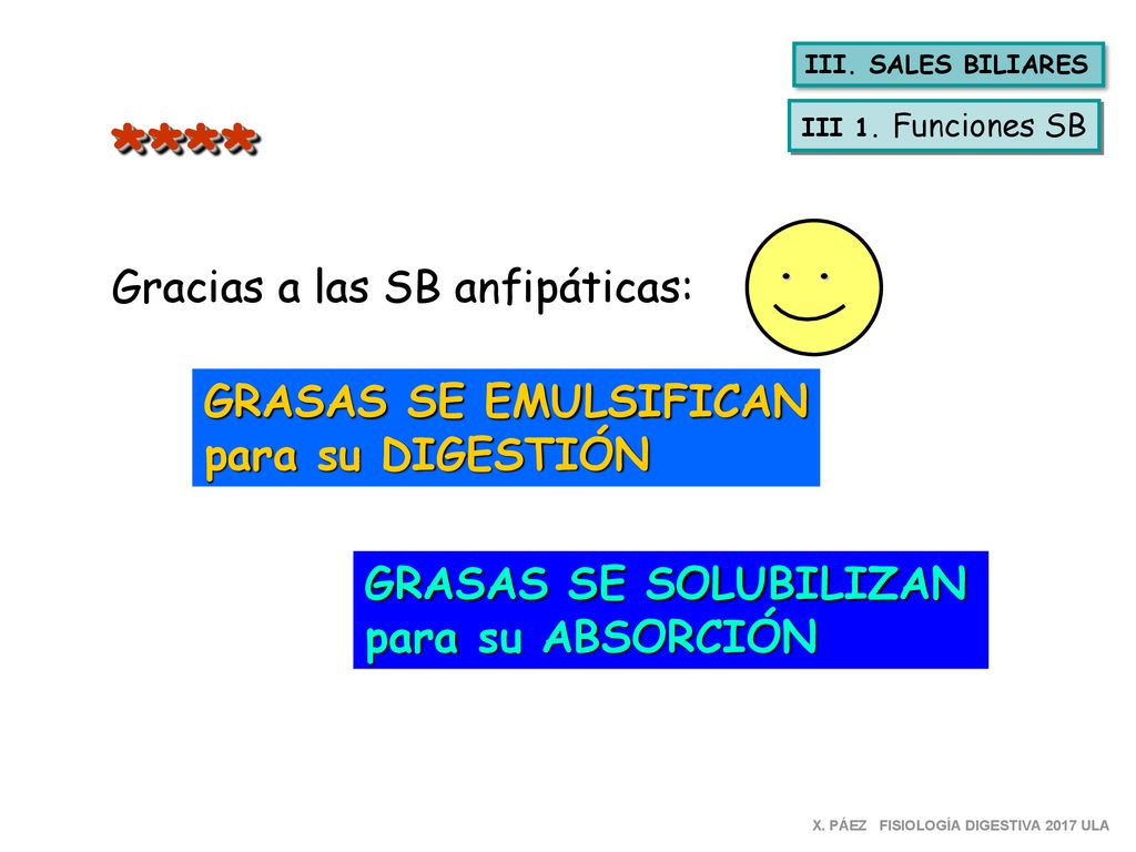 **** . . Gracias a las SB anfipáticas: GRASAS SE EMULSIFICAN