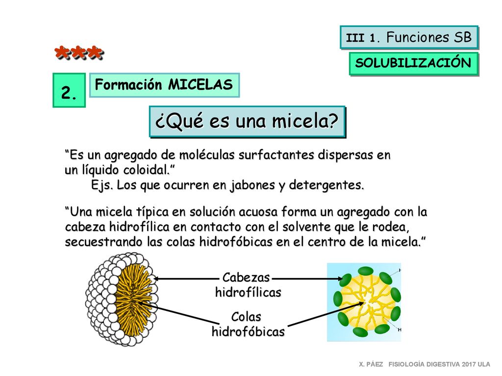 *** ¿Qué es una micela 2. Formación MICELAS SOLUBILIZACIÓN