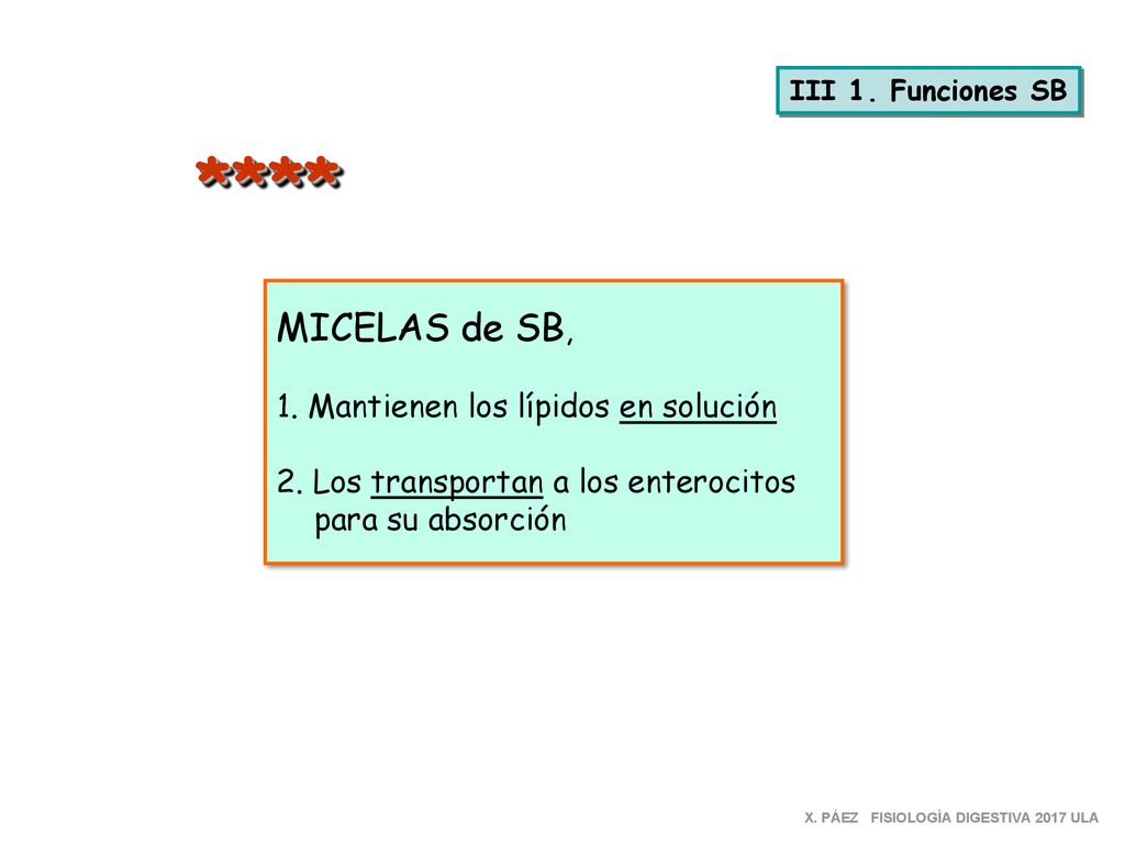 **** MICELAS de SB, 1. Mantienen los lípidos en solución