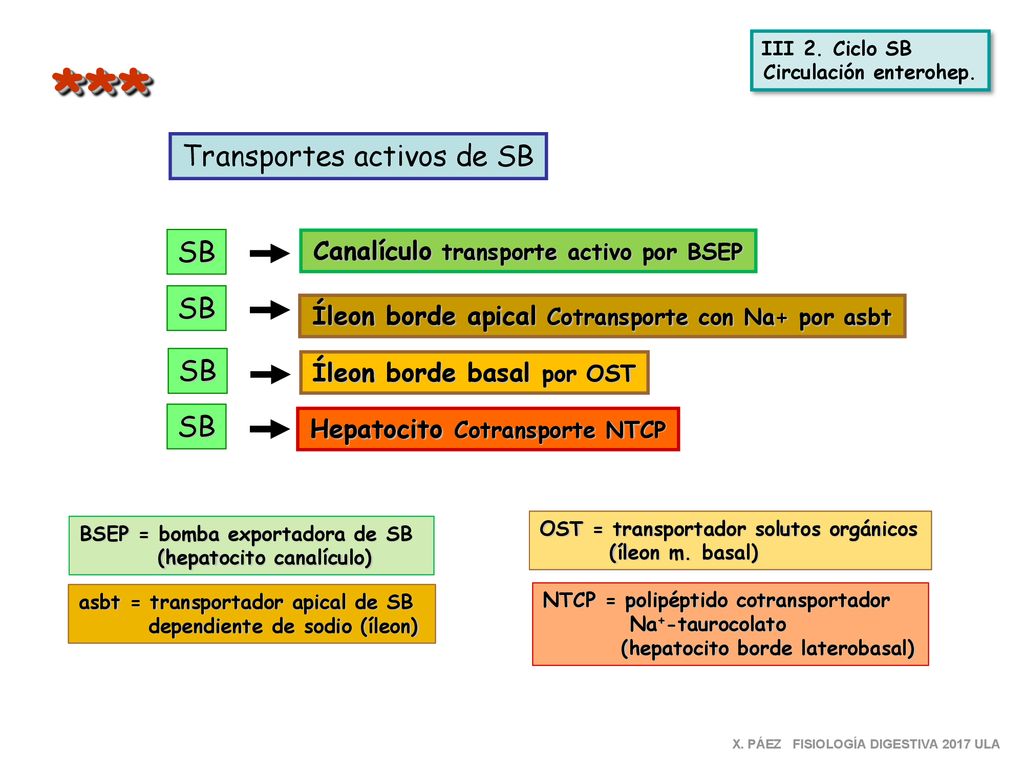 *** Transportes activos de SB SB SB SB SB