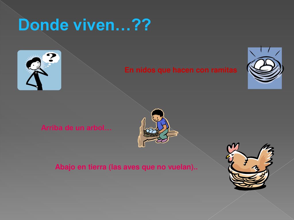 Donde viven… En nidos que hacen con ramitas Arriba de un arbol…