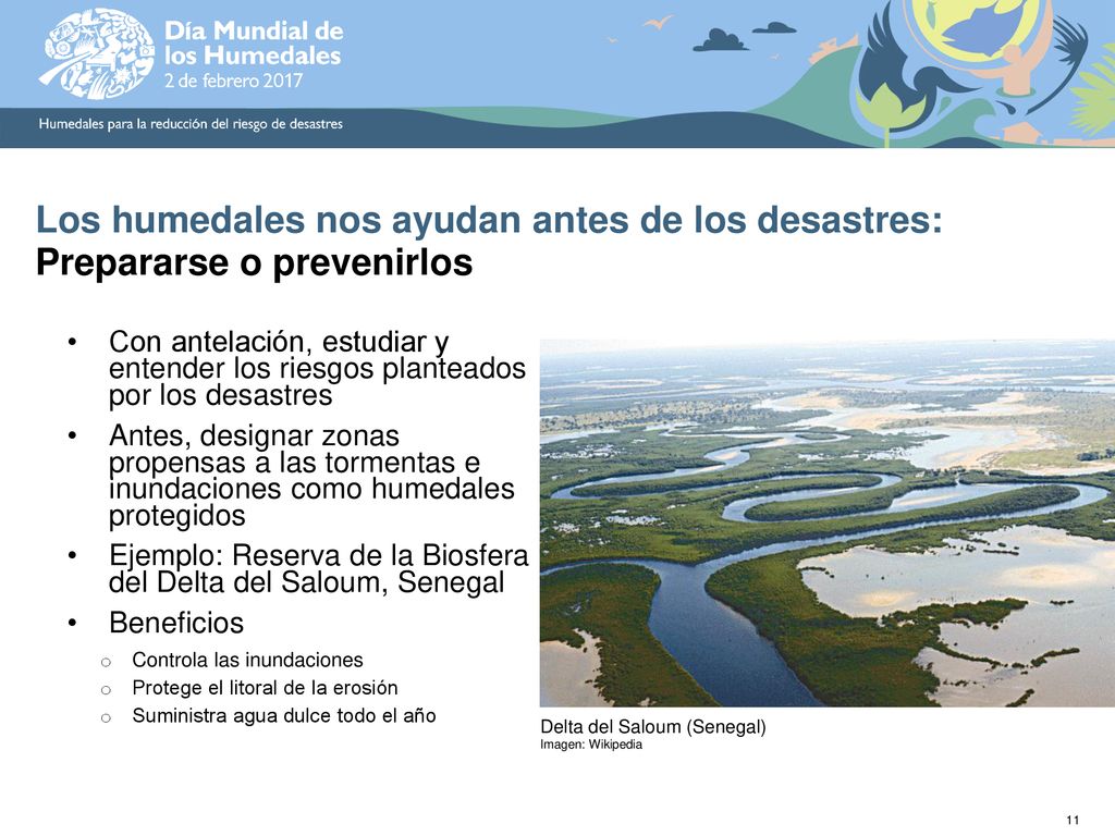 Los humedales nos ayudan antes de los desastres: Prepararse o prevenirlos