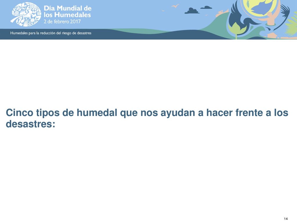 Cinco tipos de humedal que nos ayudan a hacer frente a los desastres: