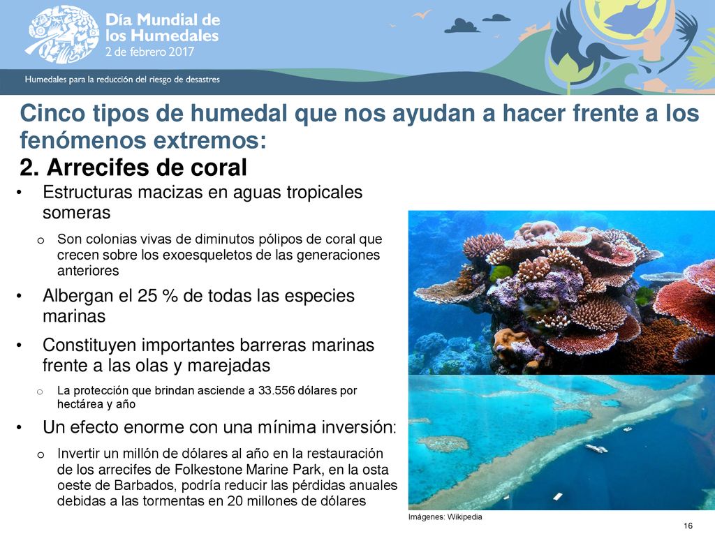 Cinco tipos de humedal que nos ayudan a hacer frente a los fenómenos extremos: 2. Arrecifes de coral