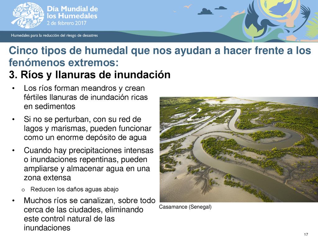 Cinco tipos de humedal que nos ayudan a hacer frente a los fenómenos extremos: 3. Ríos y llanuras de inundación