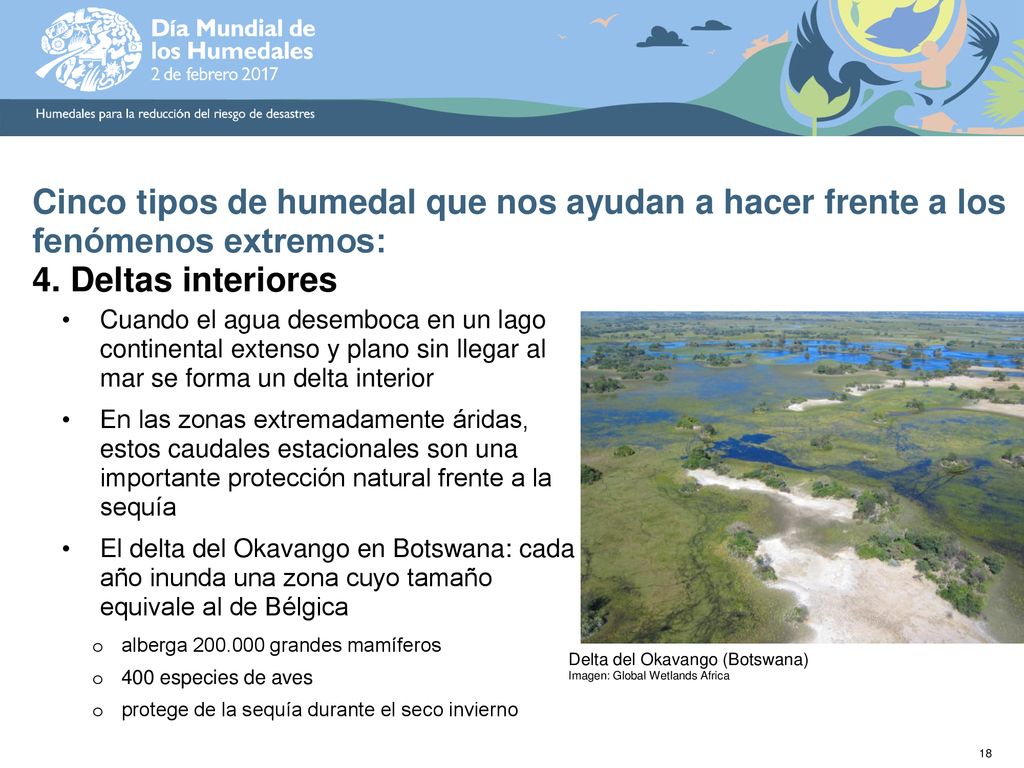 Cinco tipos de humedal que nos ayudan a hacer frente a los fenómenos extremos: 4. Deltas interiores