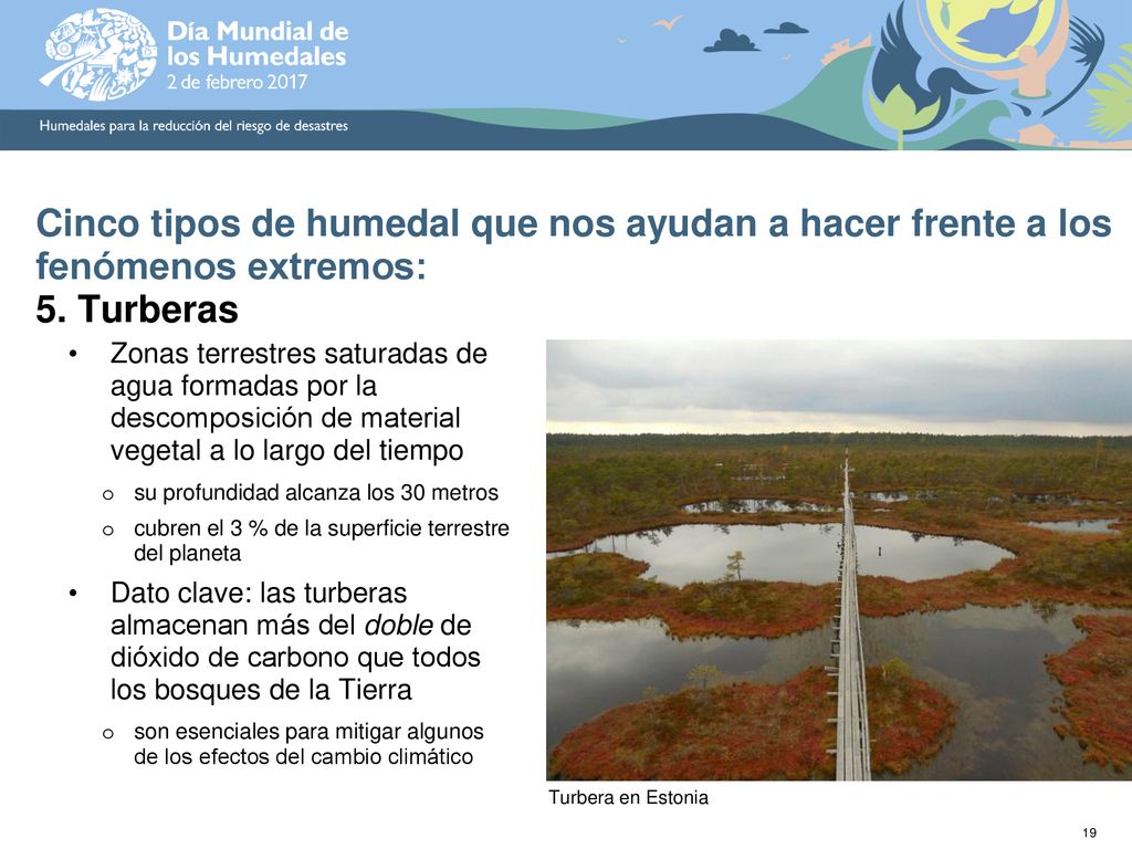 Cinco tipos de humedal que nos ayudan a hacer frente a los fenómenos extremos: 5. Turberas