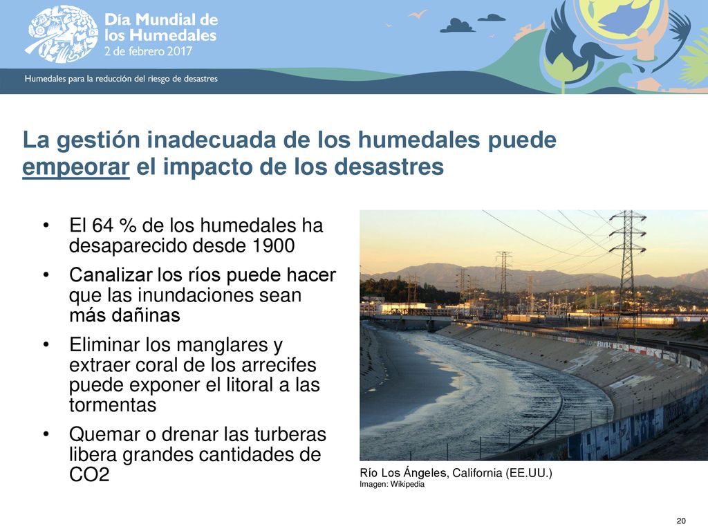 La gestión inadecuada de los humedales puede empeorar el impacto de los desastres