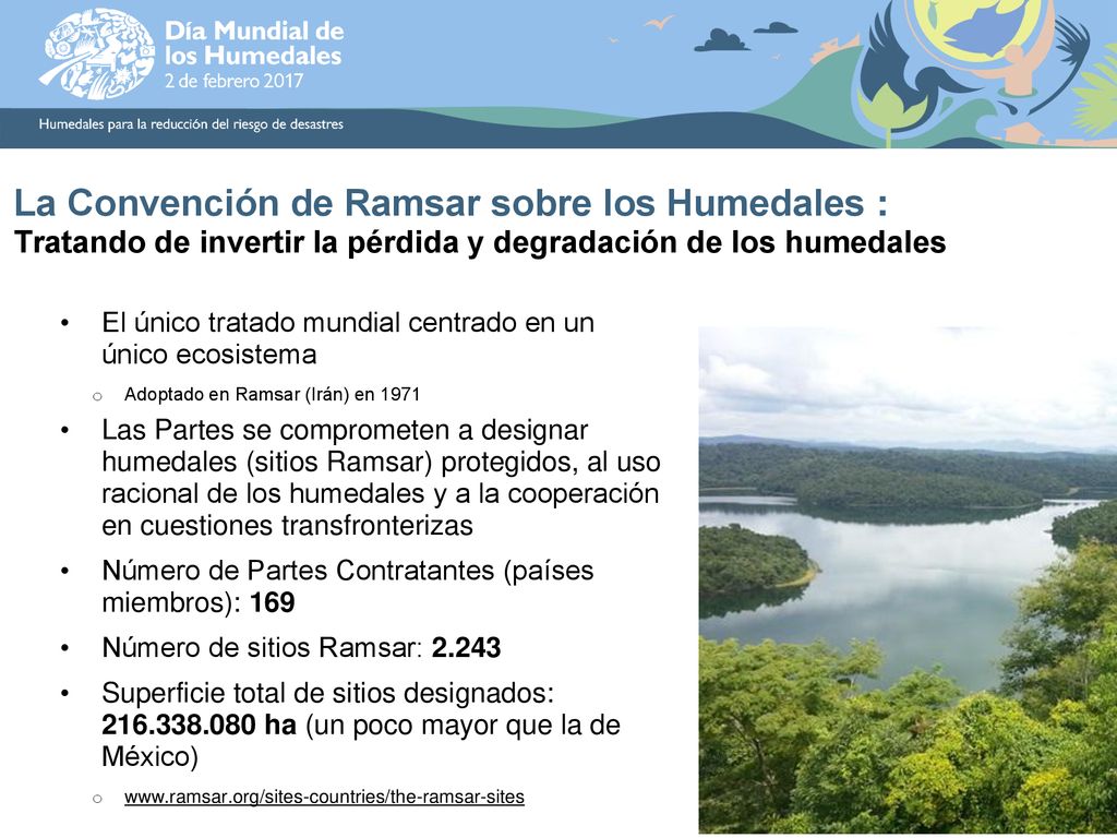 La Convención de Ramsar sobre los Humedales : Tratando de invertir la pérdida y degradación de los humedales