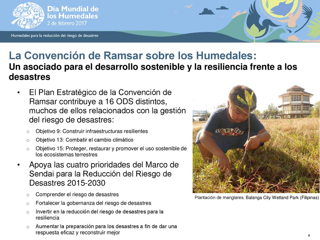 La Convención de Ramsar sobre los Humedales: Un asociado para el desarrollo sostenible y la resiliencia frente a los desastres