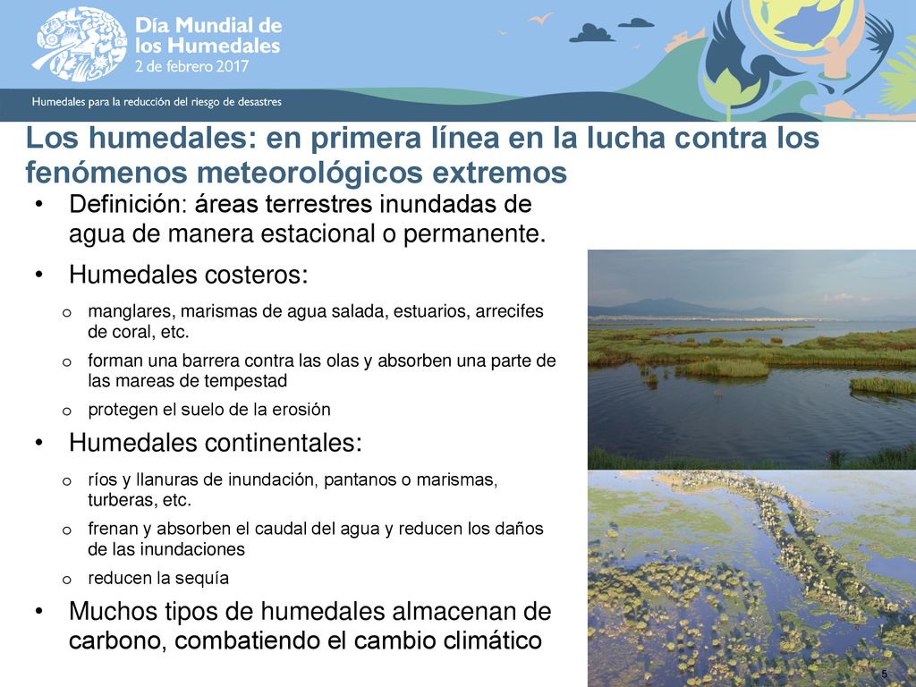 Los humedales: en primera línea en la lucha contra los fenómenos meteorológicos extremos