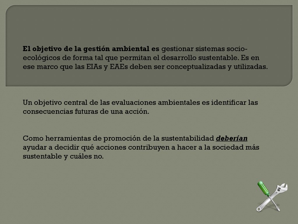 El objetivo de la gestión ambiental es gestionar sistemas socio-ecológicos de forma tal que permitan el desarrollo sustentable. Es en ese marco que las EIAs y EAEs deben ser conceptualizadas y utilizadas.