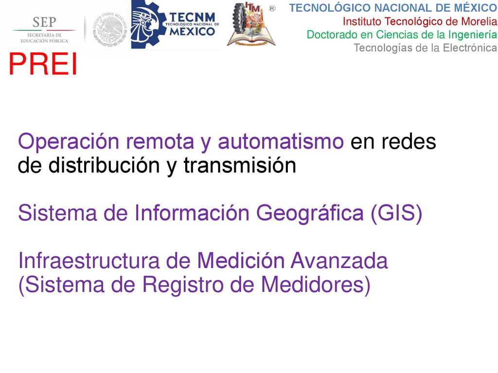 PREI Operación remota y automatismo en redes de distribución y transmisión. Sistema de Información Geográfica (GIS)