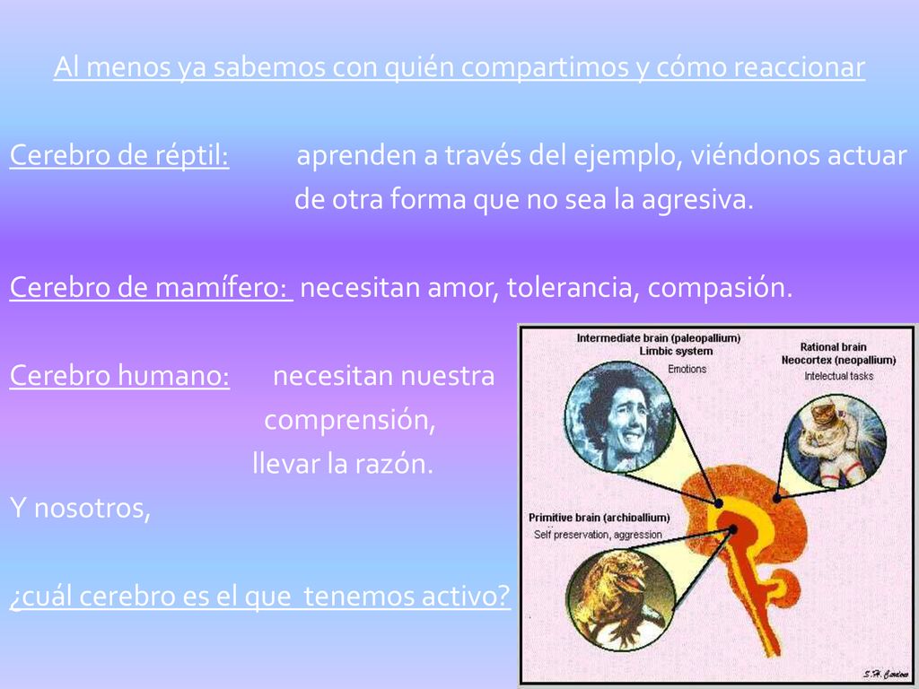 Al menos ya sabemos con quién compartimos y cómo reaccionar
