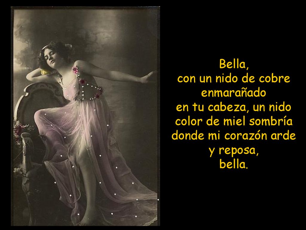 Bella, con un nido de cobre enmarañado en tu cabeza, un nido color de miel sombría donde mi corazón arde y reposa, bella.