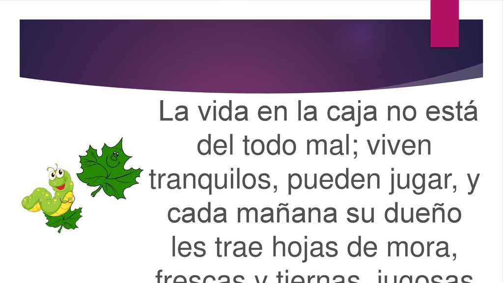La vida en la caja no está del todo mal; viven tranquilos, pueden jugar, y cada mañana su dueño les trae hojas de mora, frescas y tiernas, jugosas como hierbas recién cortadas.