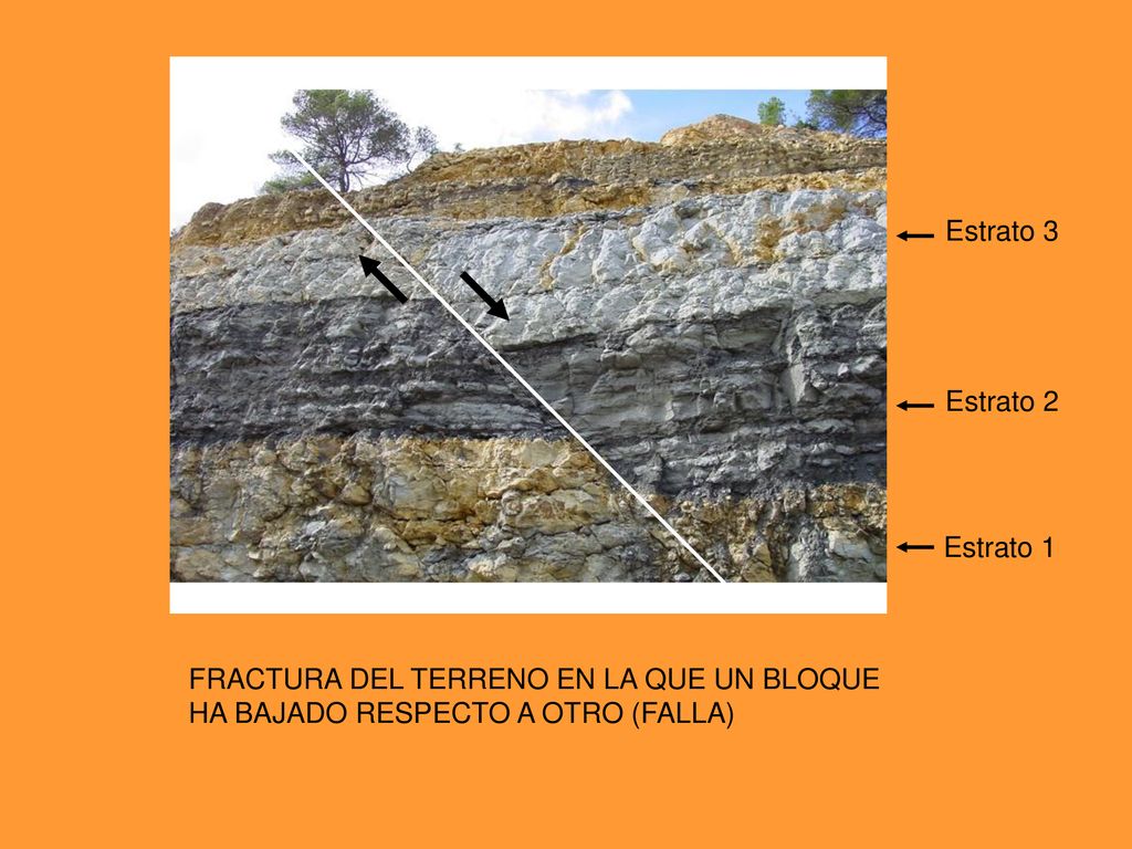Estrato 3 Estrato 2. Estrato 1. FRACTURA DEL TERRENO EN LA QUE UN BLOQUE.