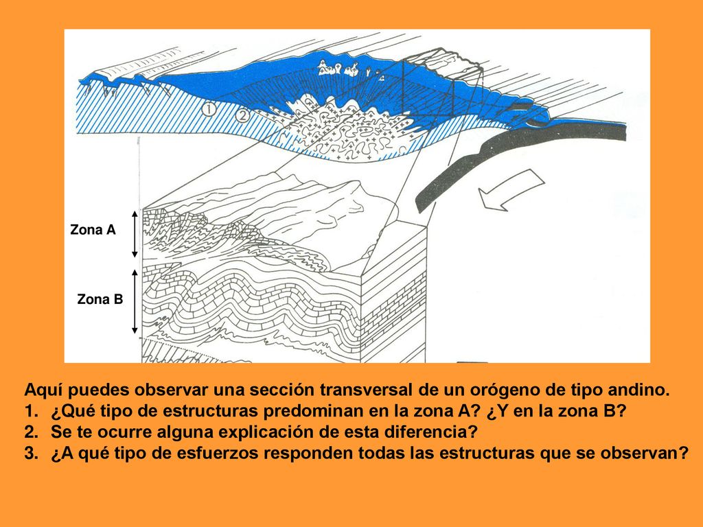 ¿Qué tipo de estructuras predominan en la zona A ¿Y en la zona B