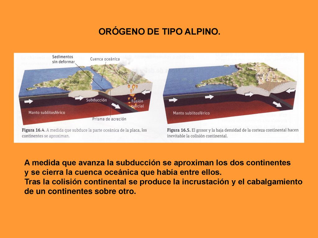 ORÓGENO DE TIPO ALPINO. A medida que avanza la subducción se aproximan los dos continentes. y se cierra la cuenca oceánica que había entre ellos.