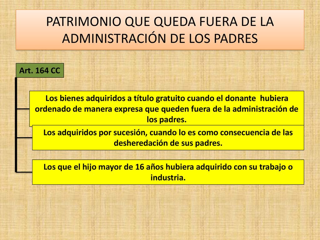 PATRIMONIO QUE QUEDA FUERA DE LA ADMINISTRACIÓN DE LOS PADRES